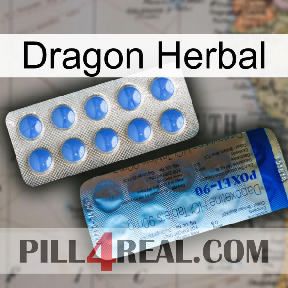 Dragon Herbal 40.jpg